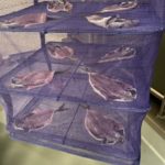 アジの一夜干し